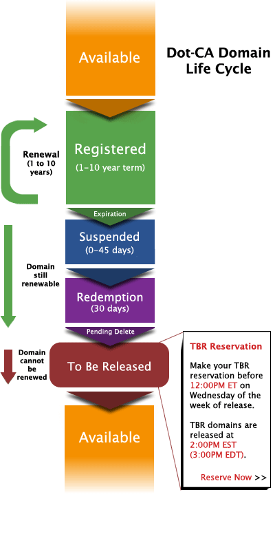 Domain life cycle